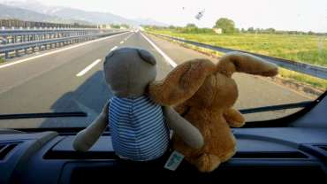 Nuestros compañeros de viaje: Teddy y Orejotas